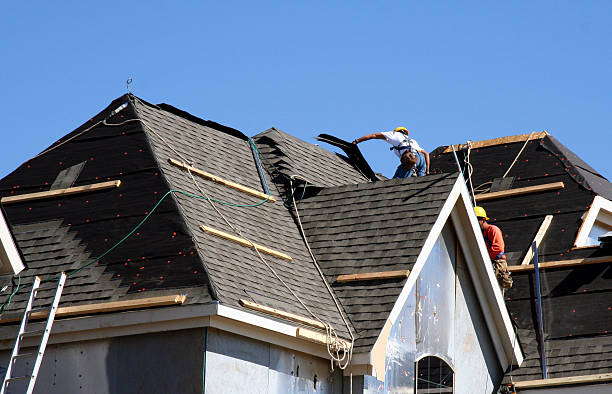 Best Shingle Roofing Installation  in Winterset, IA