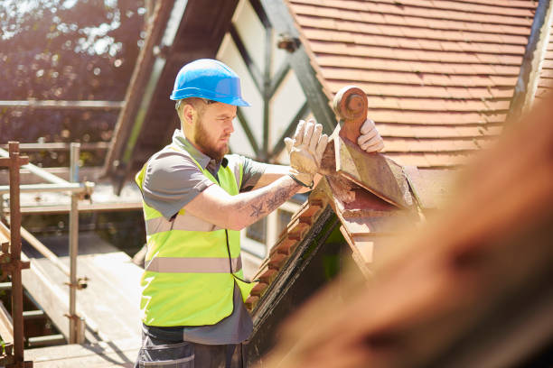 Best Roof Repair Specialists  in Winterset, IA