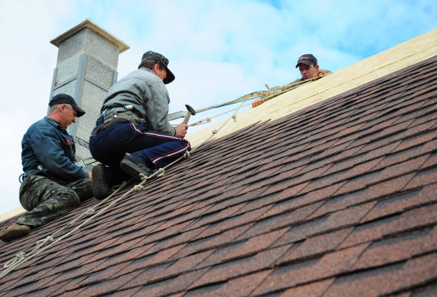 Best Residential Roofing Contractor  in Winterset, IA
